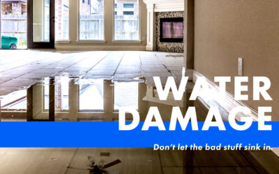 Water Damage Effects and Prevention